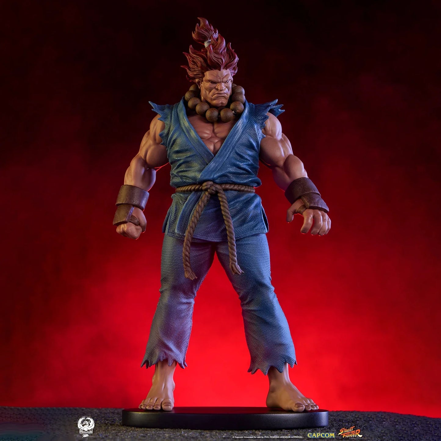 PCS Statue PCS Statue: Set Akuma y Dhalsim Street Fighter 1/1 - Vista 4
