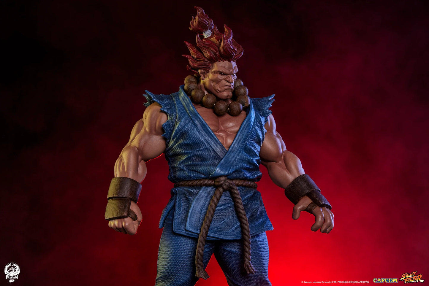PCS Statue PCS Statue: Set Akuma y Dhalsim Street Fighter 1/1 - Vista 7