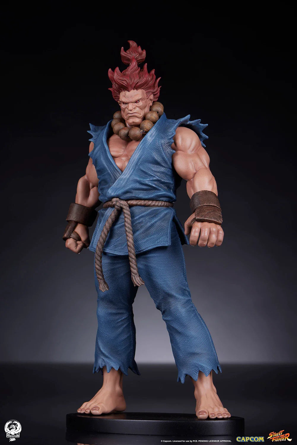 PCS Statue PCS Statue: Set Akuma y Dhalsim Street Fighter 1/1 - Vista 8