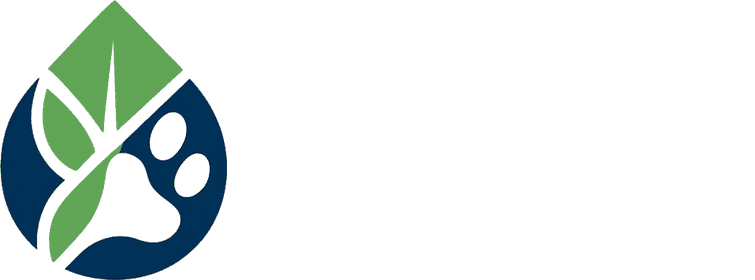 Pipawi