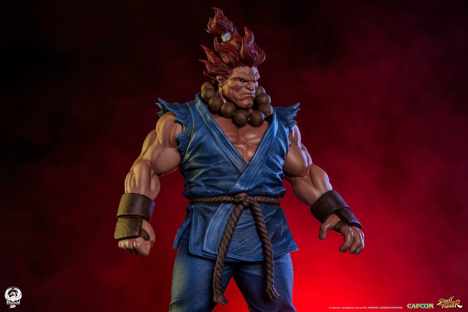 PCS Statue PCS Statue: Set Akuma y Dhalsim Street Fighter 1/1 - Vista 7
