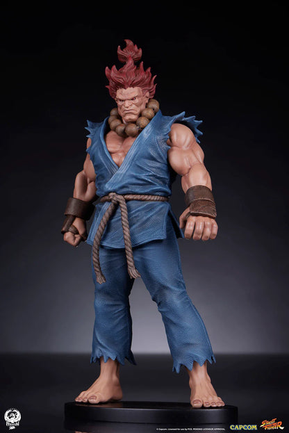 PCS Statue PCS Statue: Set Akuma y Dhalsim Street Fighter 1/1 - Vista 8